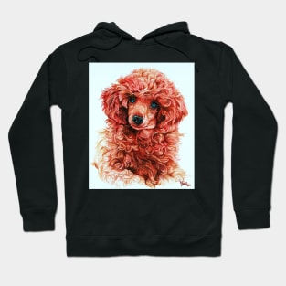 Red Toy Poodle Hoodie